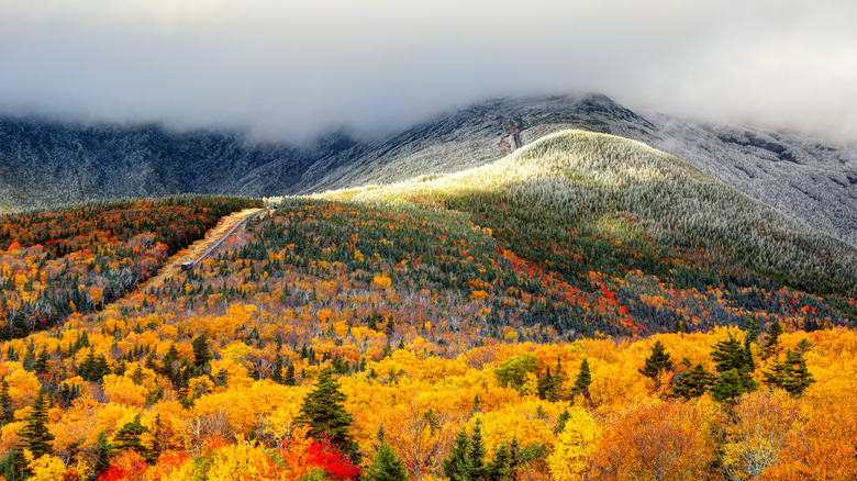 White Mountain National Park in fall