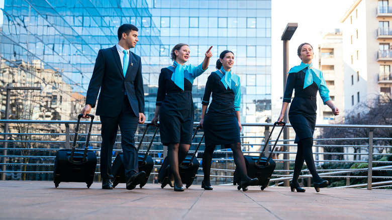 Cheerful flight cabin crew in uniform walking with their luggage