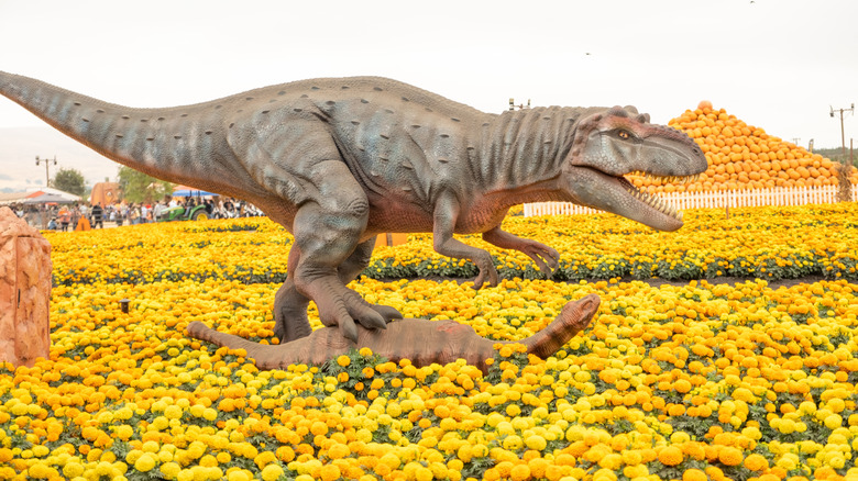 A sculpture of a tyrannosaurus rex stomps a smaller dinosaur at Spina Farms Pumpkin Patch
