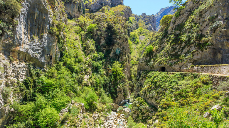 Green ravine with a river and a tunnel on the Cares hiking trail in Northern Spain