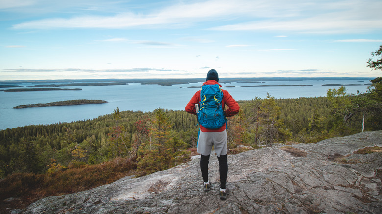 Man standing on a round peak overlooking a forest and lake with small islands