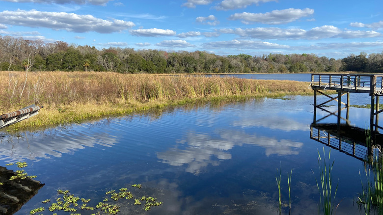 Lake view in Inverness, Florida