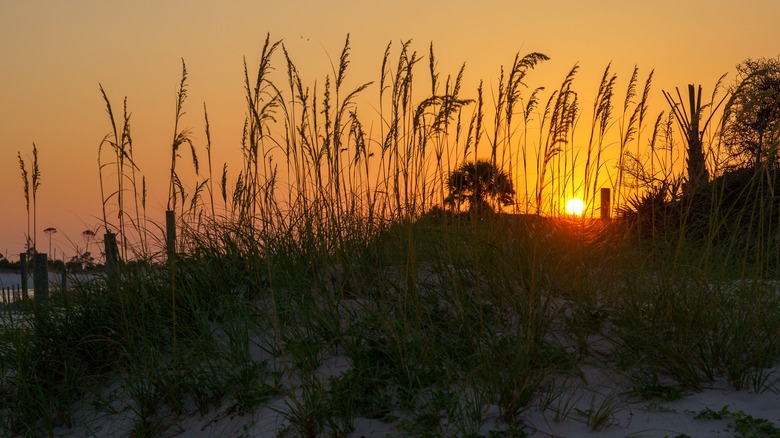 Sunset at the beach on St. George Island