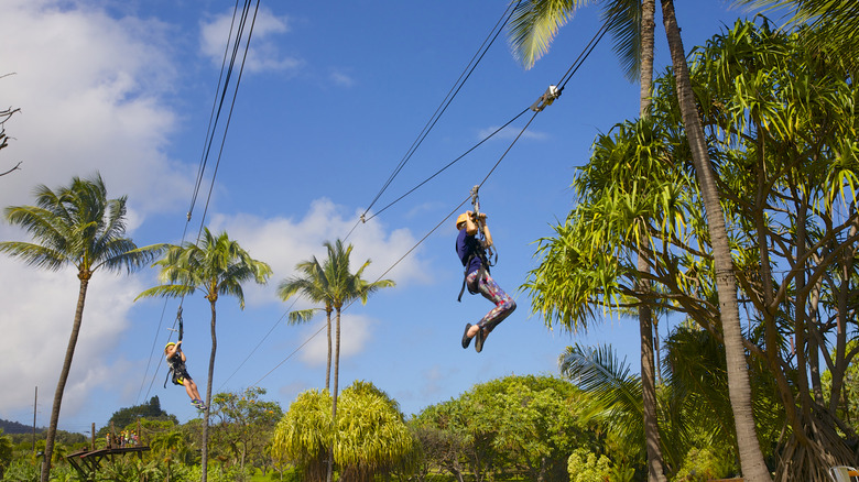 people on zipline with palm trees