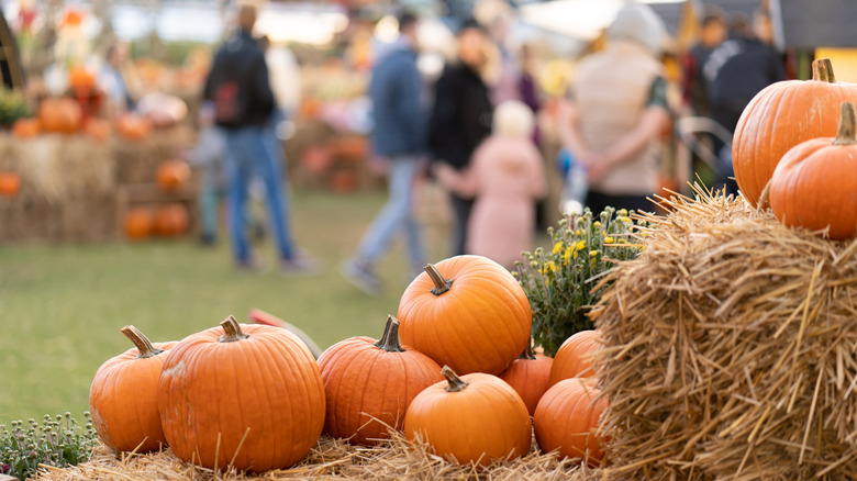 A close-up of pumpkins at a fall festival.