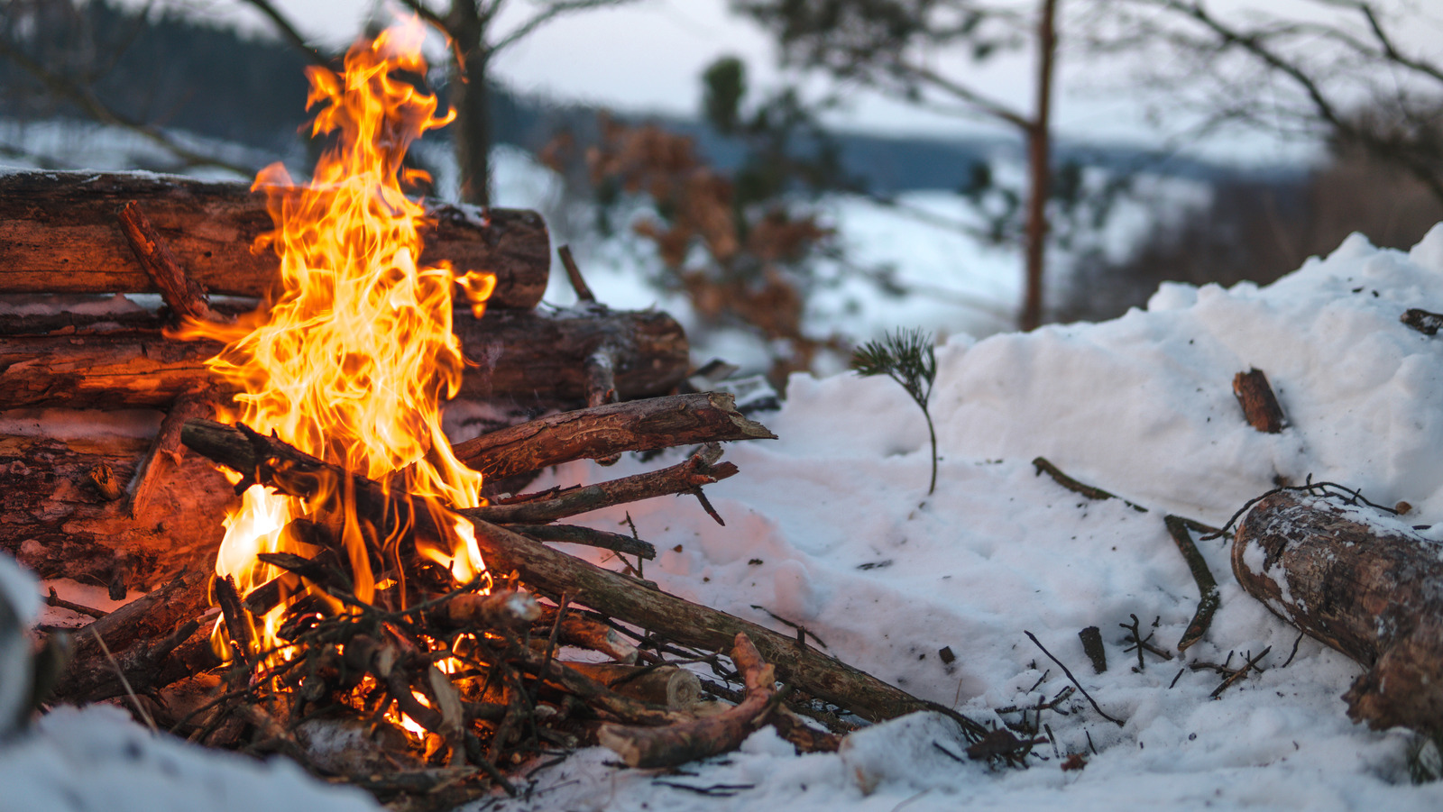 This Genius Hack To Start A Fire Could Be A LifeSaver While Camping In