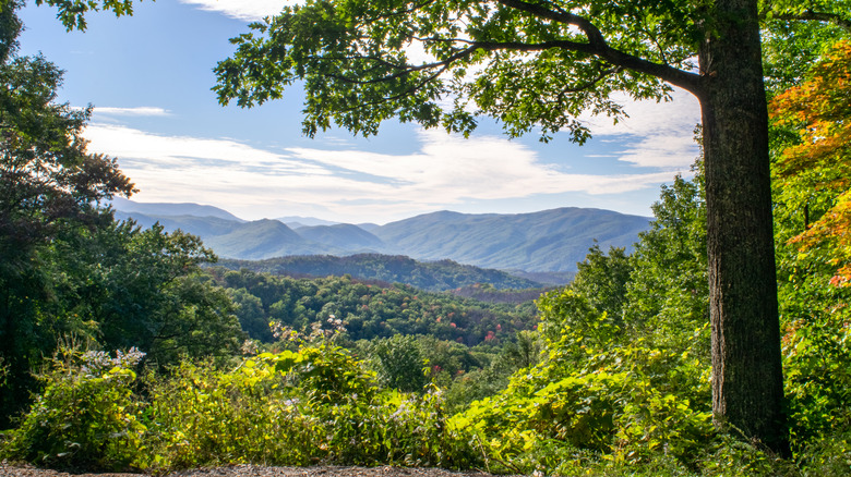 Great Smoky Mountains