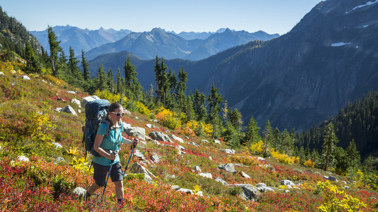 A woman hiking in North Cascades National Park