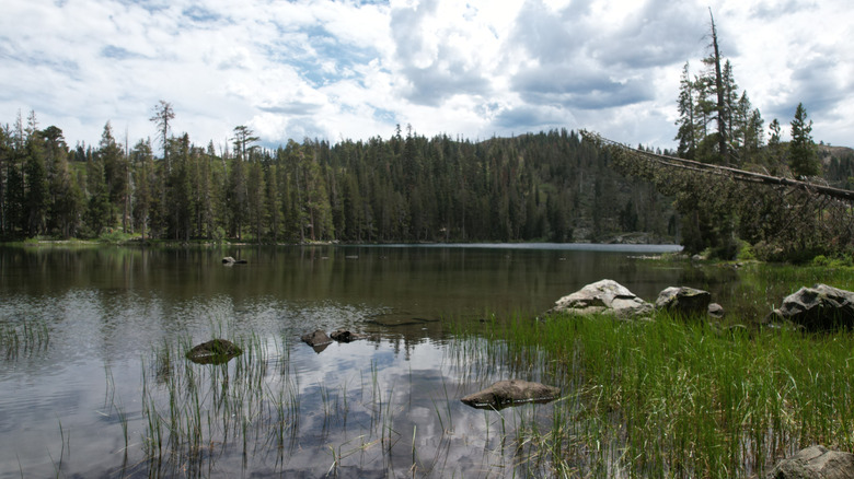 Gold Lake in the Lakes Basin Recreation Area of Plumas National Forest in California