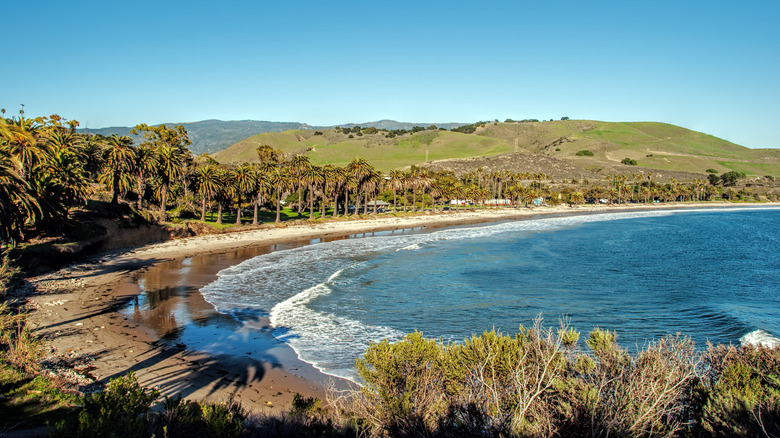 Refugio State Beach, palms, and ocean