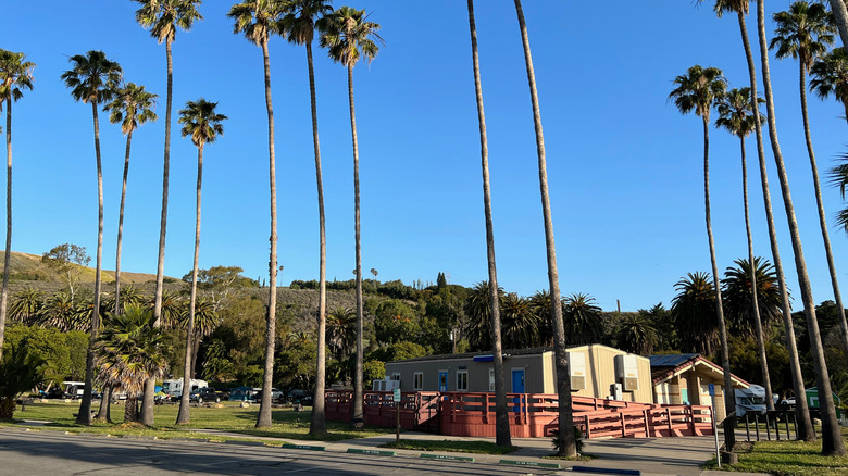 Refugio State Beach, palms, and buildings