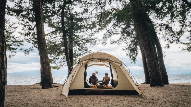 pair of campers overlooking water