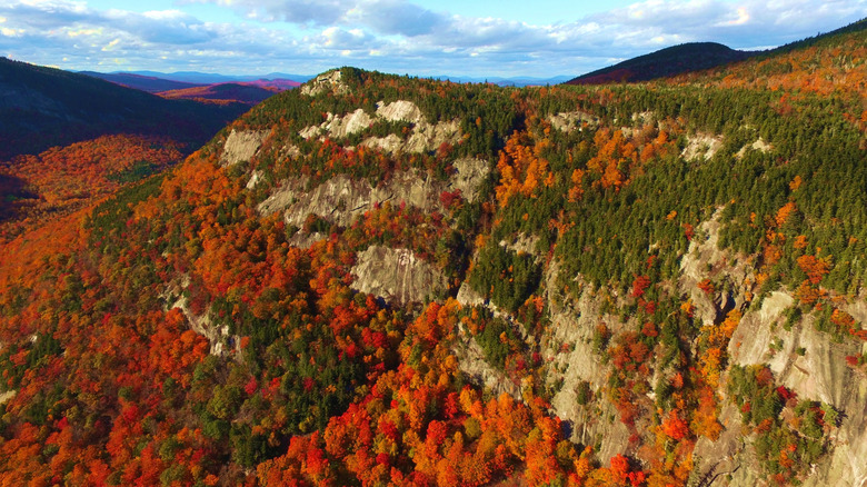 mountainside with red and orange trees