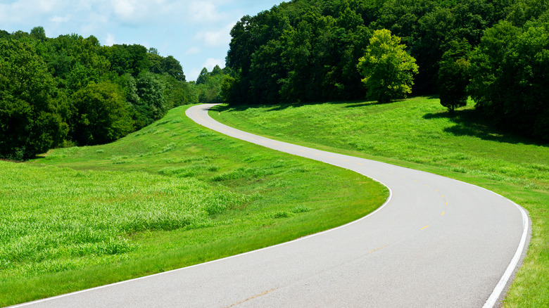 Road on Natchez Trace