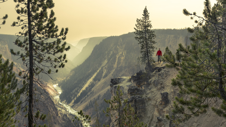 hiker by yellowstone river canyon