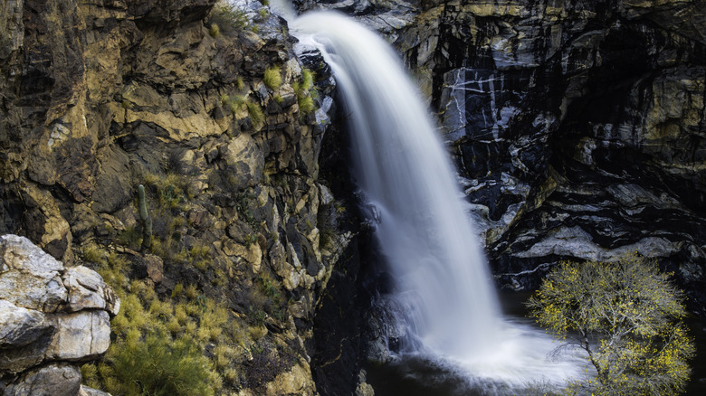 A stunning waterfall in the desert