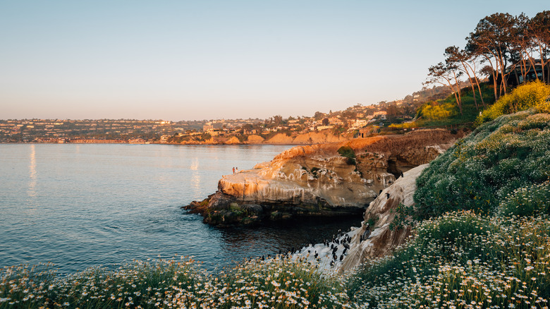 La Jolla 