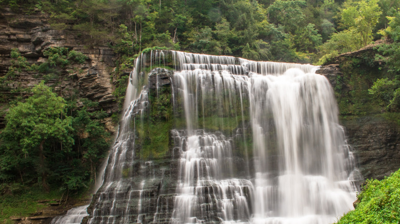 Burgess Falls in Tennessee
