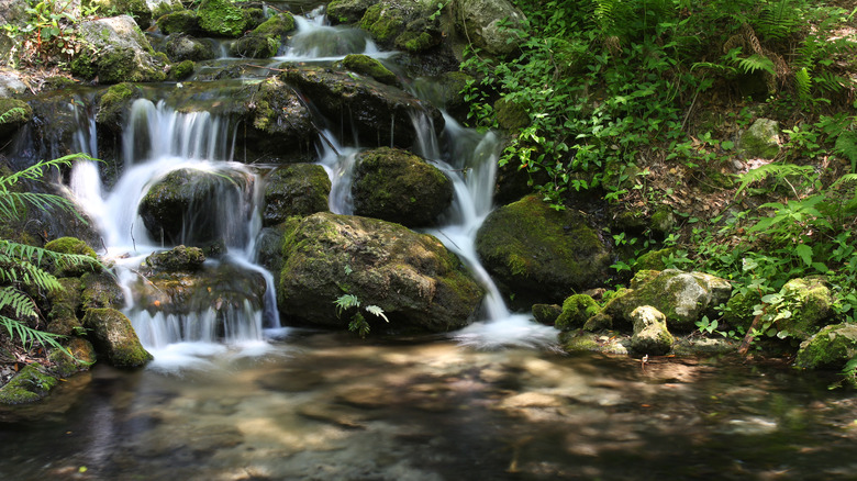 Rainbow Springs State Park waterfall