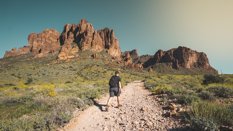 hiker on desert trail