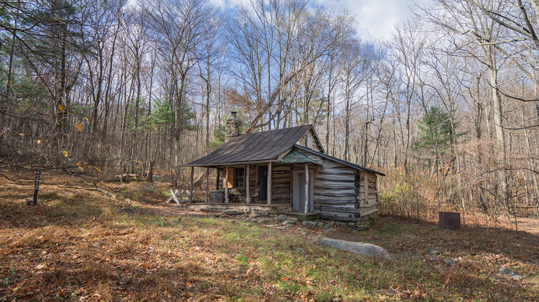 Corbin Cabin in the woods