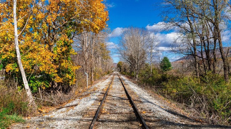 Train tracks near Manchester, VT
