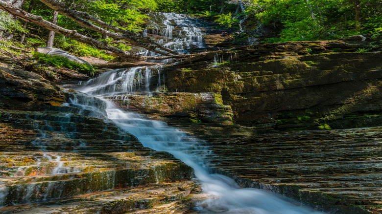 The lovely falls found on Lye Brook Falls trail