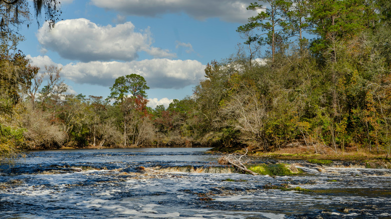 Class III Whitewater rapids in Big Shoals State Park, FL.