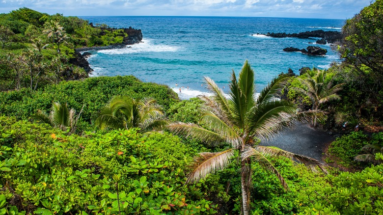 Beach in Hana