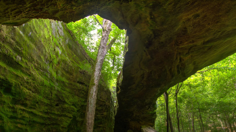 View through the Mantle Rock arch