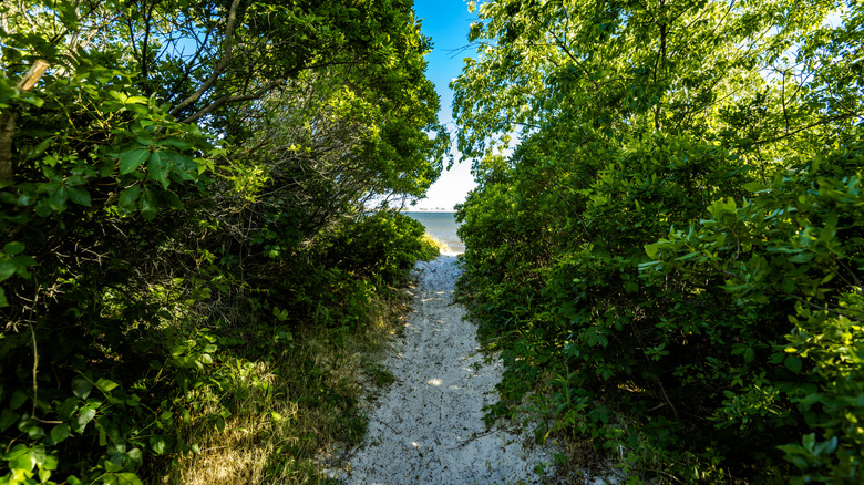 A path leads to the beach on the edge of Floyd Bennett Field in New York
