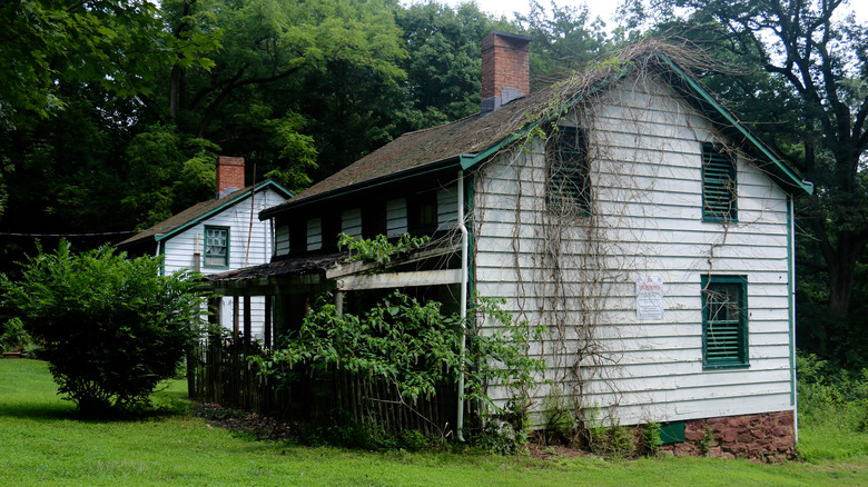 abandoned white clapboard houses overgrown with bushes