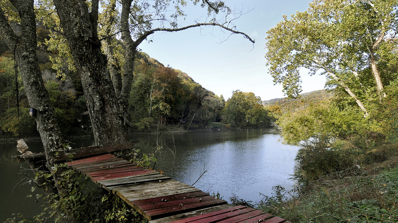 wooden bridge over river