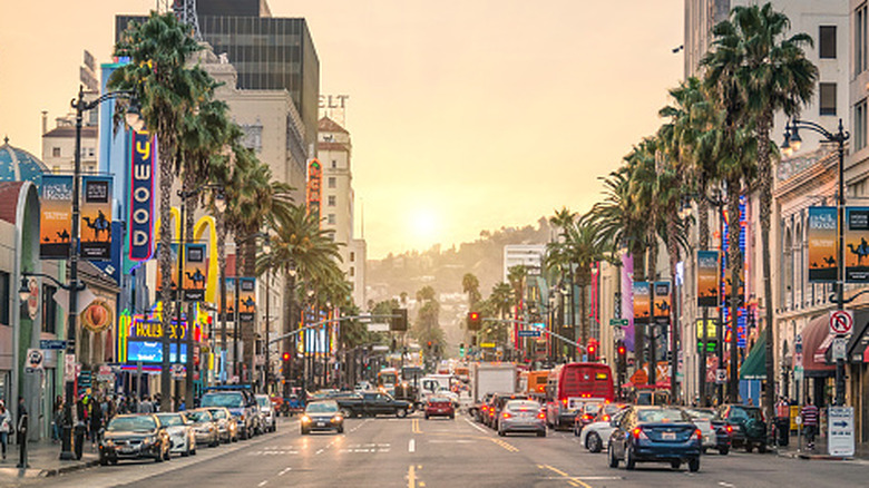 Hollywood Boulevard with palm trees and cars at sunset