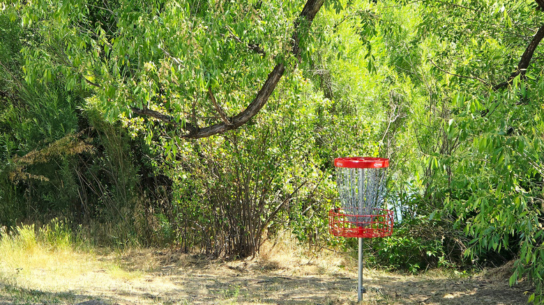 Disc golf hole at Eagle Island State Park, Idaho