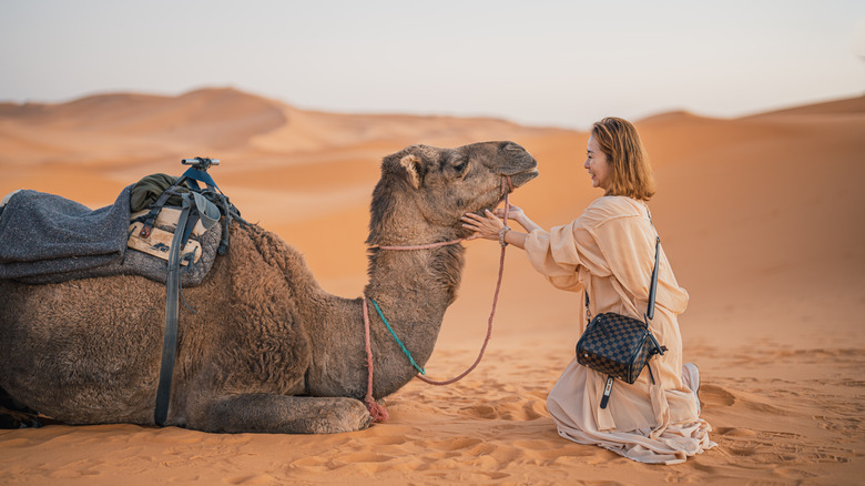 Woman with a camel in the Sahara Desert
