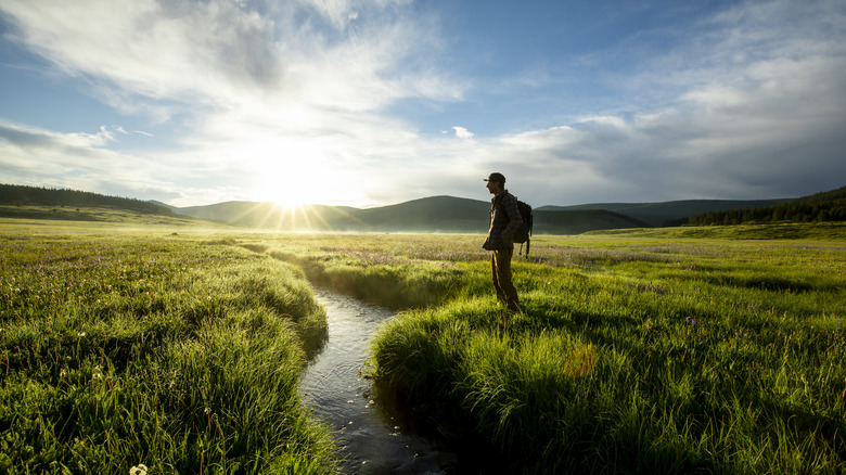 A male hiker stands in front of a screen in a meadow