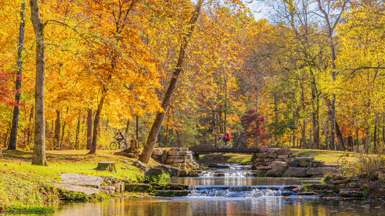 People bicycling over a bridge along a trail over a small waterfall within Dogwood Canyon Nature Park in Missouri