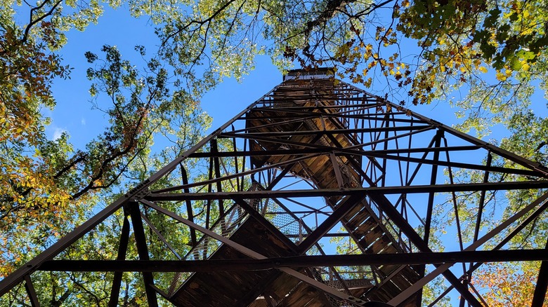 A fire tower in the woods
