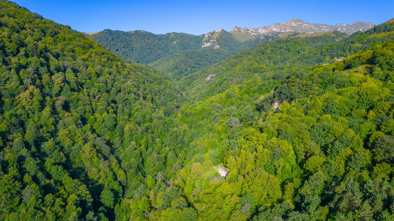 An aerial view of Dilijan National Park in Armenia