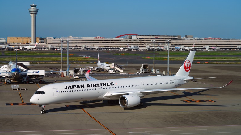 Japan Airlines plane Haneda Airport tarmac