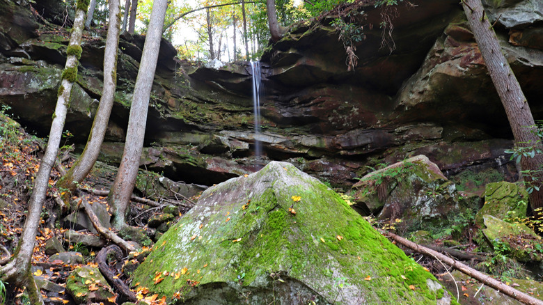 A waterfall located in the Red River Gorge of Kentucky.