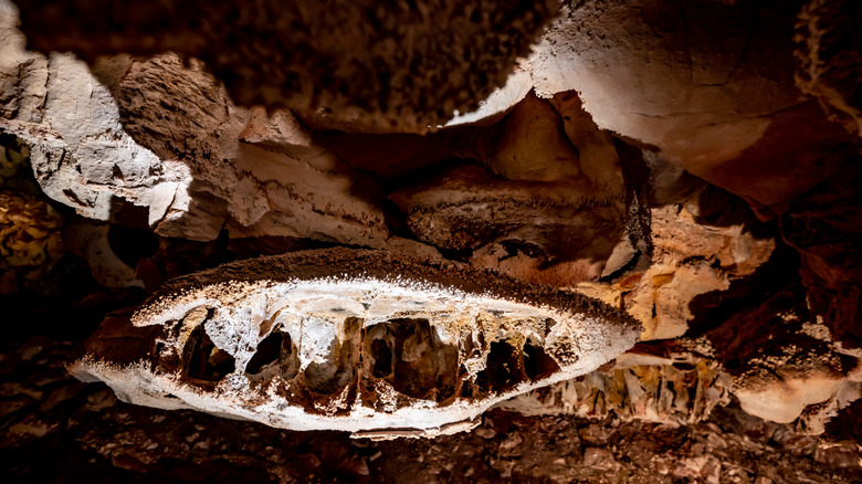 Boxwork formation inside Wind Cave National Park