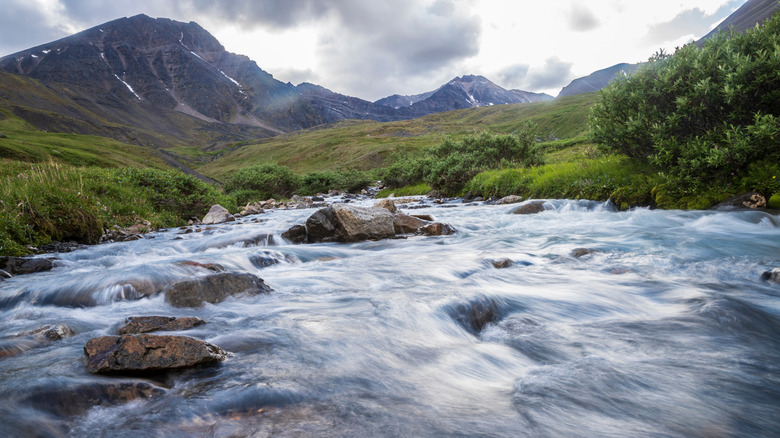 white water rushing river, grass, mountains, clouds