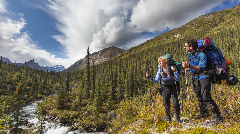 man and woman hiking among pine trees, creek, mountain