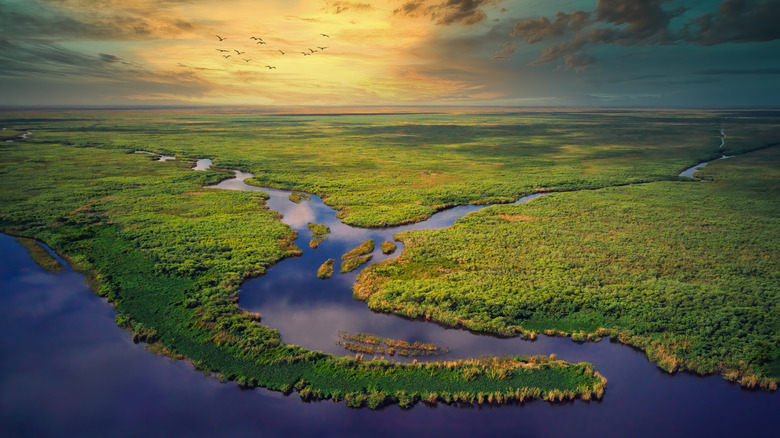 aerial Everglades at sunset