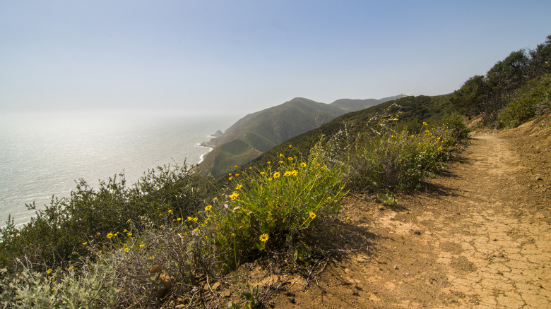 Backbone trail with ocean view