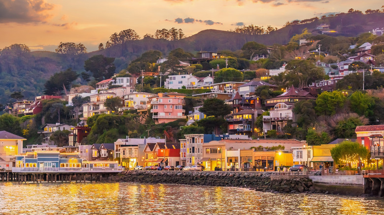 House covered hill next to water in Sausalito