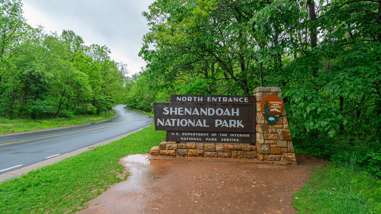 Shenandoah National Park North Entrance sign surrounded by lush greenery