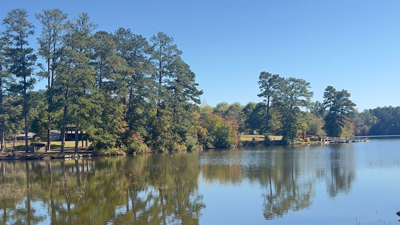 A beautiful view of trees reflected in the lake at Fort Yargo State Park.